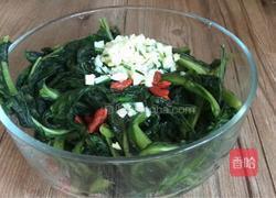 生拌苦麻菜的做法图解11