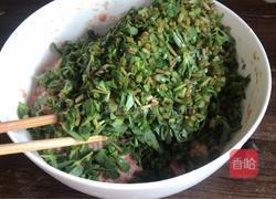 马齿苋韭菜馅饺子的做法图解7