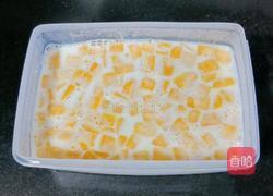 芒果奶冻的做法图解10