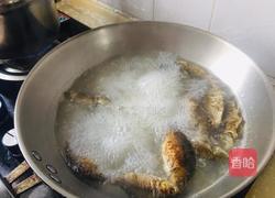 鲫鱼冬瓜豆腐汤的做法图解3