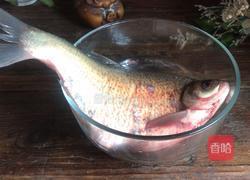清蒸武昌鱼的做法图解1