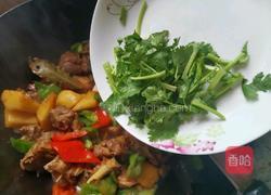 土豆炖鸭腿的做法图解14
