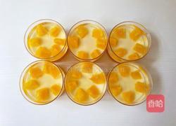 橙子布丁的做法图解14