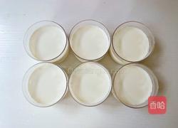 椰香荔枝冻的做法图解8