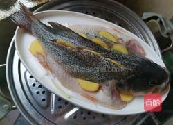 清蒸鲈鱼的做法图解6