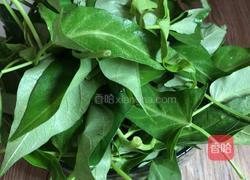 香拌空心菜的做法图解1