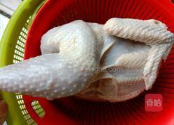 霍山石斛炖鸡的做法图解1