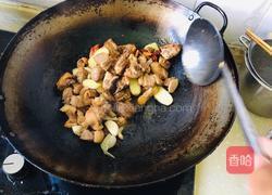 砂锅啤酒鸭的做法图解8