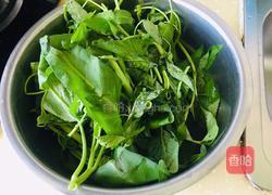 蒜香空心菜的做法图解1