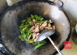青椒炒过油肉的做法图解14