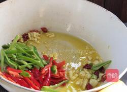 辣炒马齿苋的做法图解6