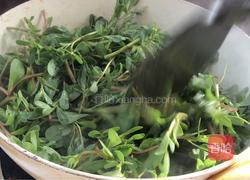 辣炒马齿苋的做法图解8