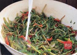 辣炒马齿苋的做法图解9