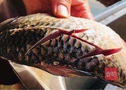 家常炖鲫鱼的做法图解1