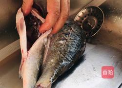 家常炖鲫鱼的做法图解2