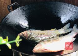 家常炖鲫鱼的做法图解7