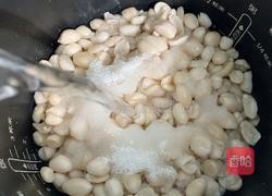 花生汤的做法图解4