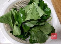 红薯叶炒西红柿的做法图解1