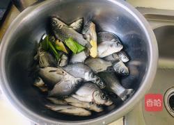 黄焖鲫鱼的做法图解1