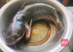 清蒸梭边鱼的做法图解1