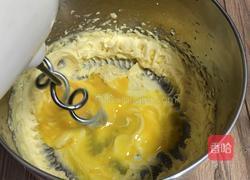 双色黄油曲奇的做法图解4