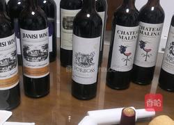 家庭酿造葡萄酒的做法图解11