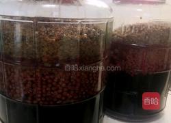 家庭酿造葡萄酒的做法图解6