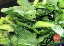 虾米炒白菜的做法图解6