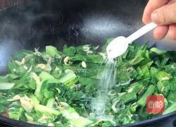 虾米炒白菜的做法图解7