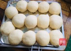 奶香小餐包的做法图解12