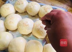 奶香小餐包的做法图解14