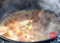 黄瓜炖鸡块的做法图解11