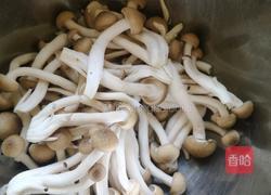 炖鸡煲的做法图解2