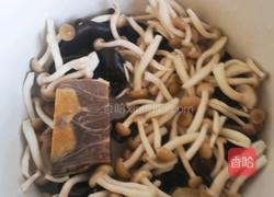 炖鸡煲的做法图解3