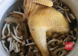 炖鸡煲的做法图解6