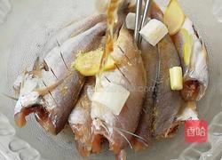 香煎海杂鱼的做法图解4