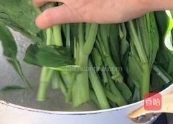 蚝油菜心的做法图解5