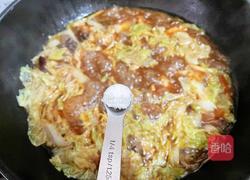 猪肉白菜炖粉条的做法图解18