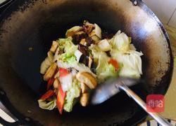 白菜粉条炖豆腐的做法图解7