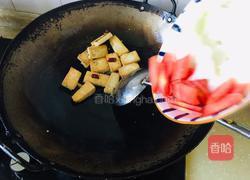 白菜粉条炖豆腐的做法图解6