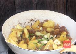 牛筋烧土豆的做法图解6