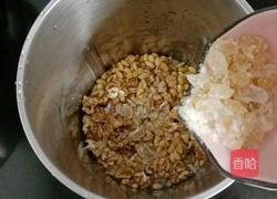 核桃豆浆的做法图解7