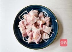 胡萝卜炖肉的做法图解4