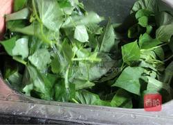 杏鲍菇炒苕叶的做法图解1