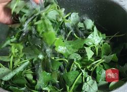 酸辣苕叶的做法图解1