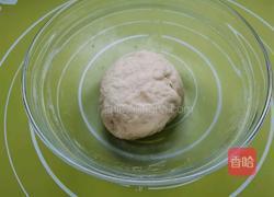 芝麻香酥饼的做法图解2