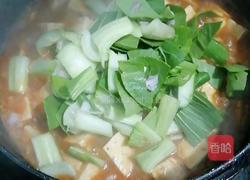 炖豆腐的做法图解6