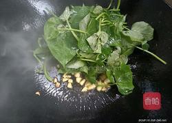 醋溜苕尖的做法图解4