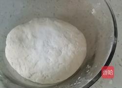 白菜翡翠饺子的做法图解2