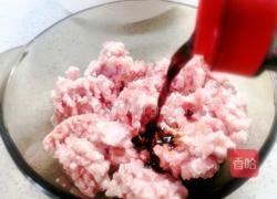 萝卜丝肉馅的做法的做法图解3